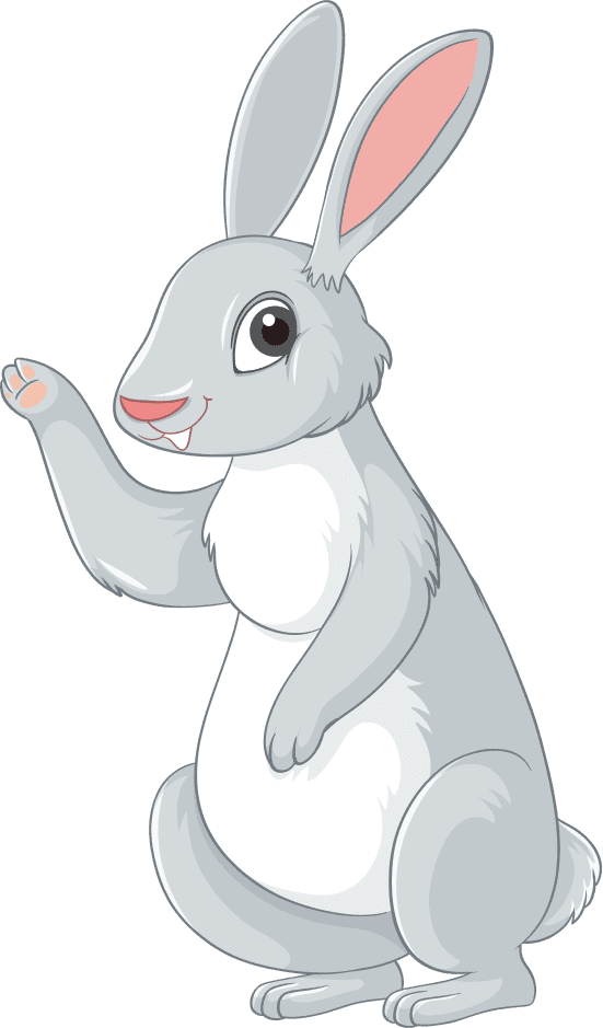 rabbit